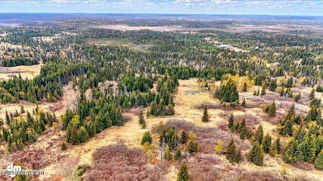65251 Clyde Thomas Ave, Anchor Point, AK 99556