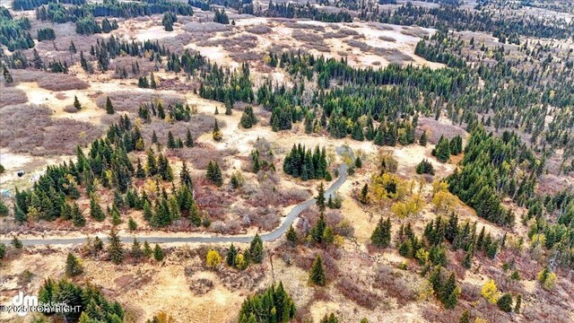65251 Clyde Thomas Ave, Anchor Point, AK 99556