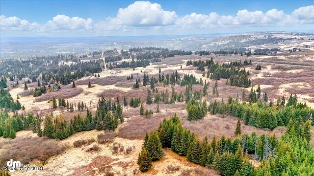 65251 Clyde Thomas Ave, Anchor Point, AK 99556