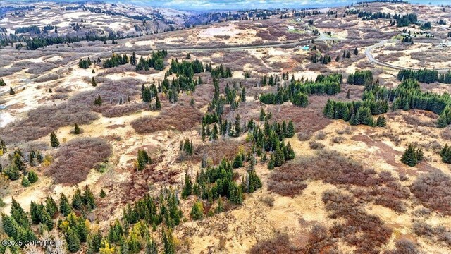 65251 Clyde Thomas Ave, Anchor Point, AK 99556
