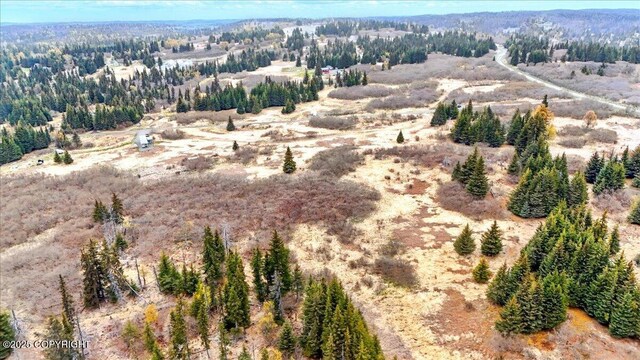 65251 Clyde Thomas Ave, Anchor Point, AK 99556