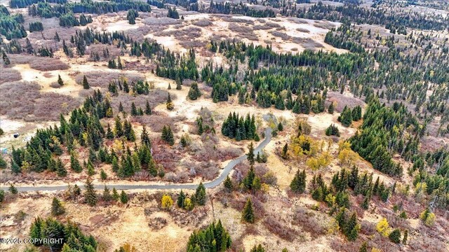 65251 Clyde Thomas Ave, Anchor Point, AK 99556