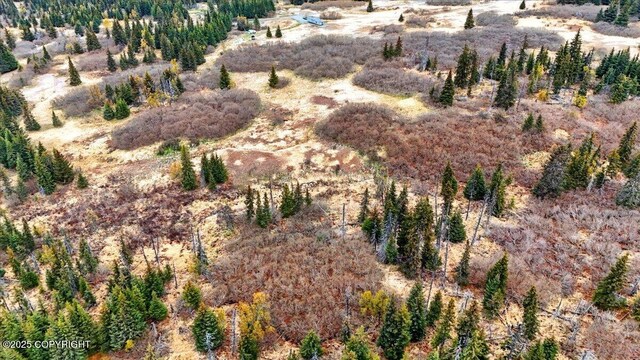 65251 Clyde Thomas Ave, Anchor Point, AK 99556