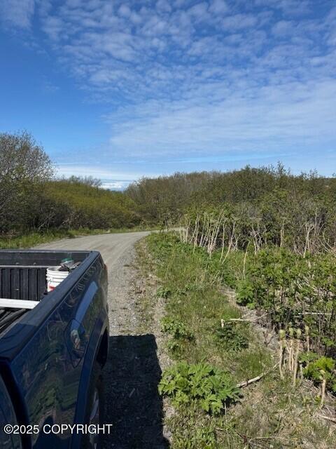 17338 Tidal Knoll Dr, Ninilchik, AK 99639