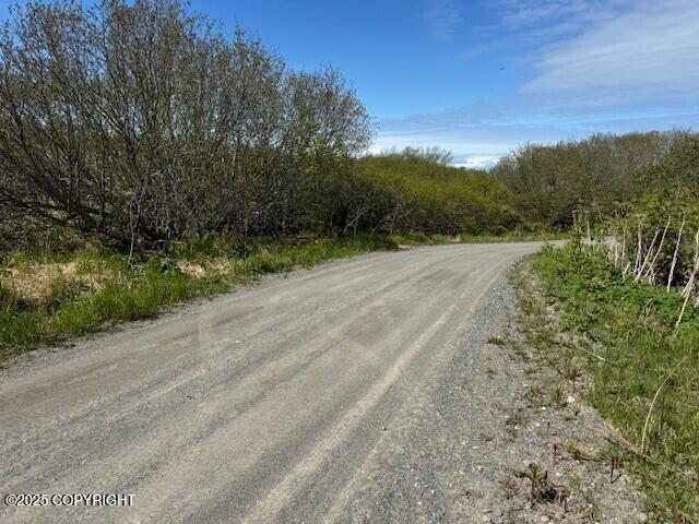 17338 Tidal Knoll Dr, Ninilchik, AK 99639