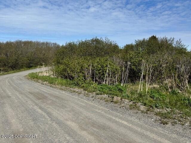 17338 Tidal Knoll Dr, Ninilchik, AK 99639