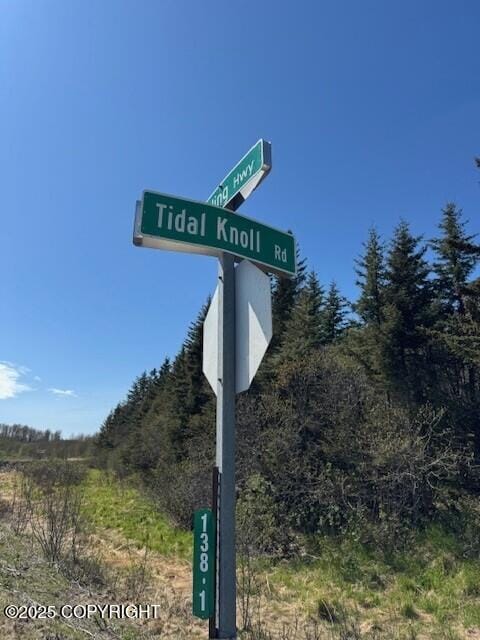 17338 Tidal Knoll Dr, Ninilchik, AK 99639