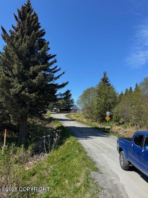 17338 Tidal Knoll Dr, Ninilchik, AK 99639