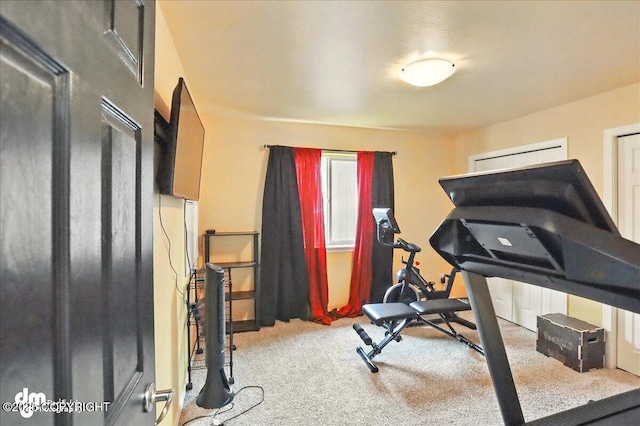 20182 Eagles Nest Ct # 5B, Eagle River, AK 99577 - exercise room with carpet flooring