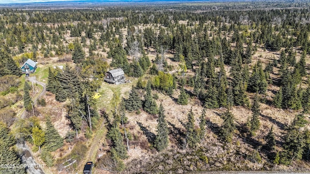 21572 Twilight St, Ninilchik, AK 99639 - aerial view of a heavily wooded area