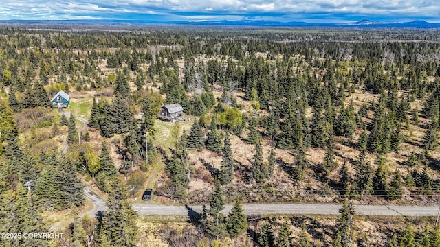 21572 Twilight St, Ninilchik, AK 99639 - bird's eye view of a forest