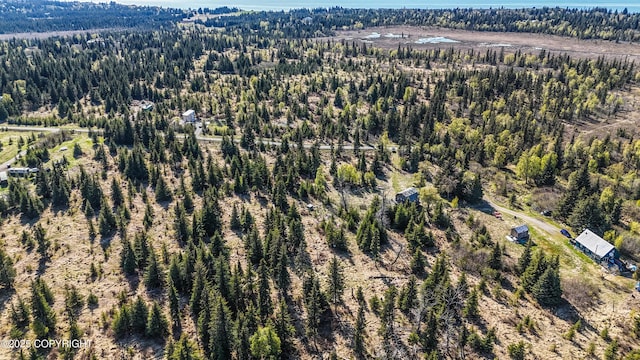 21572 Twilight St, Ninilchik, AK 99639 - aerial overview of property's location featuring a heavily wooded area