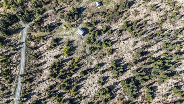 21572 Twilight St, Ninilchik, AK 99639 - view of property location