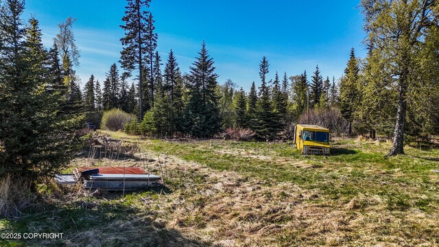 21572 Twilight St, Ninilchik, AK 99639 - view of yard featuring a view of trees