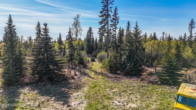 21572 Twilight St, Ninilchik, AK 99639 - view of woods