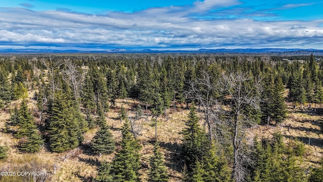 21572 Twilight St, Ninilchik, AK 99639 - view of mountain background featuring a forest