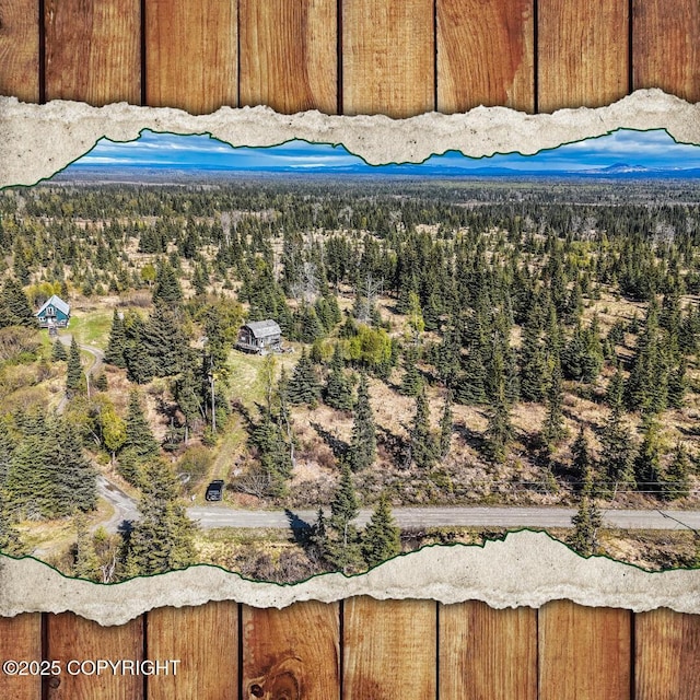 21572 Twilight St, Ninilchik, AK 99639 - mountain view