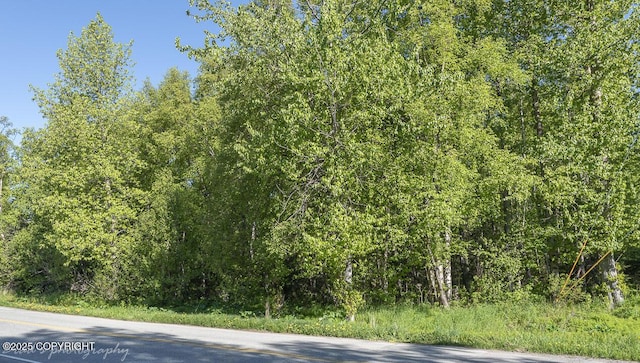 000 Wildien Dr, Anchorage, AK 99516
