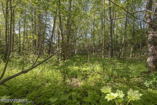 000 Wildien Dr, Anchorage, AK 99516