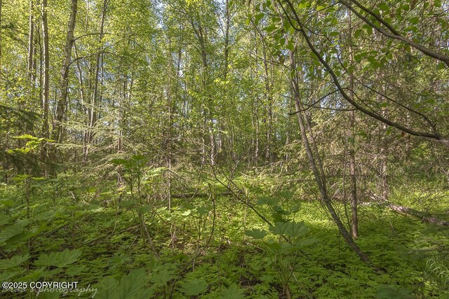 000 Wildien Dr, Anchorage, AK 99516