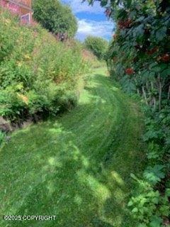 2525 Sterling Hwy, Homer, AK 99603 - view of yard