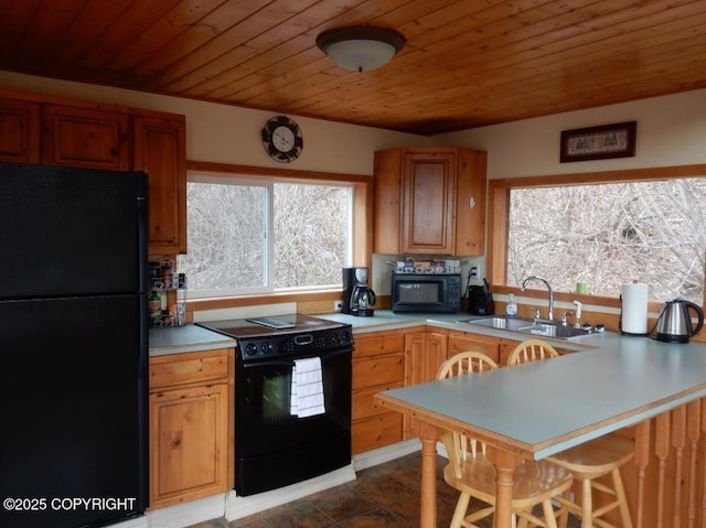 2525 Sterling Hwy, Homer, AK 99603 - kitchen with black appliances, a sink, wooden ceiling, light countertops, and a peninsula