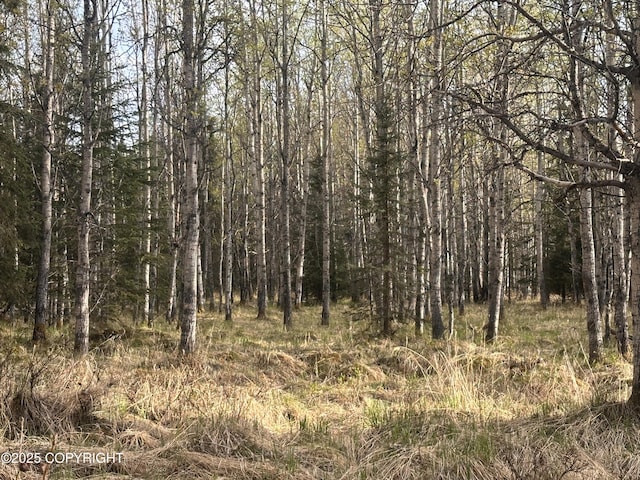 TRACT2-B Funny River Rd, Soldotna, AK 99669