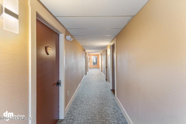 147 E Pioneer Ave, Homer, AK 99603 - hall with baseboards, a textured wall, and carpet flooring