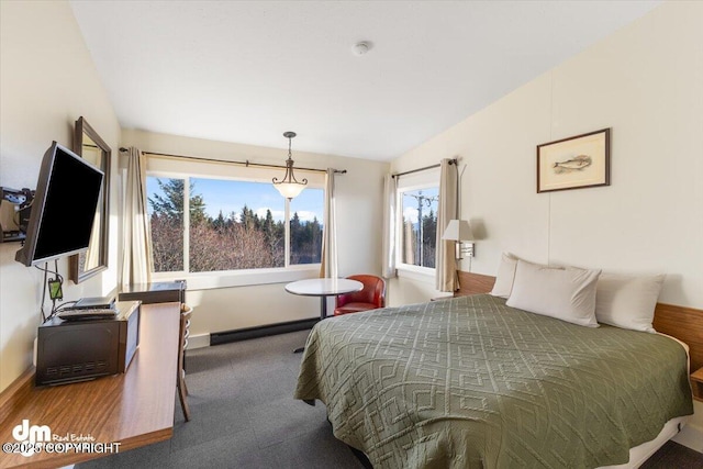 147 E Pioneer Ave, Homer, AK 99603 - bedroom with carpet floors and vaulted ceiling