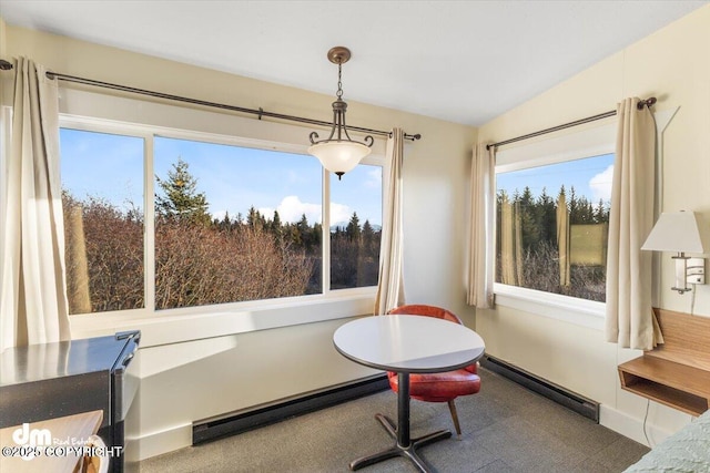 147 E Pioneer Ave, Homer, AK 99603 - carpeted dining area featuring a baseboard heating unit, a baseboard radiator, and baseboards