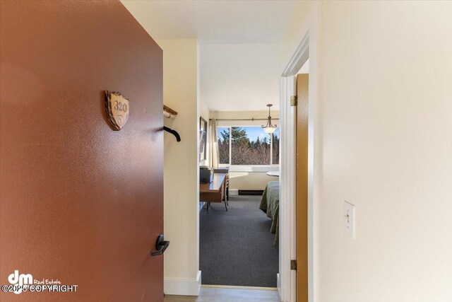 147 E Pioneer Ave, Homer, AK 99603 - corridor featuring baseboards and carpet floors