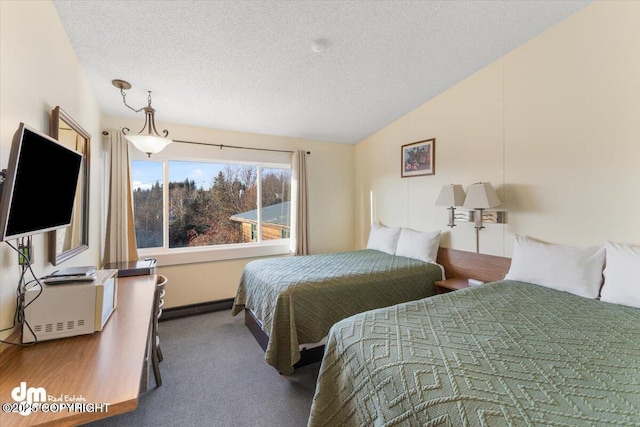 147 E Pioneer Ave, Homer, AK 99603 - carpeted bedroom with a textured ceiling and lofted ceiling