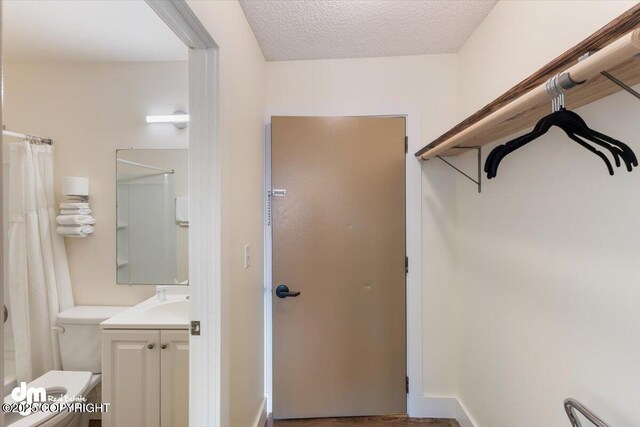 147 E Pioneer Ave, Homer, AK 99603 - view of walk in closet