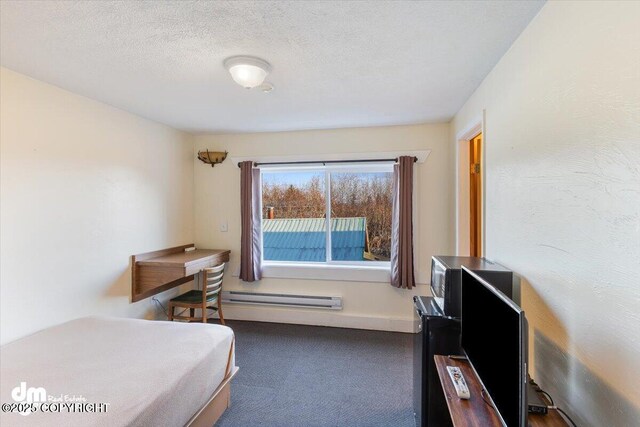 147 E Pioneer Ave, Homer, AK 99603 - bedroom featuring a baseboard heating unit, carpet, a desk, a textured ceiling, and baseboards