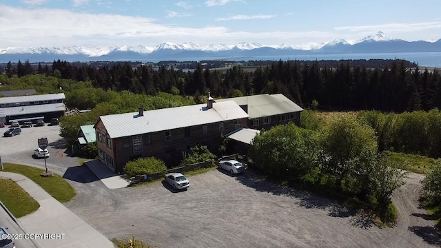 147 E Pioneer Ave, Homer, AK 99603 - bird's eye view of a mountainous background and a forest