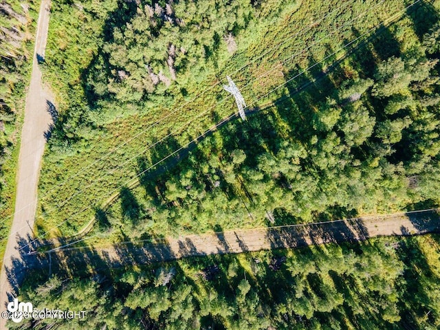 10429 S Lewis Loop, Wasilla, AK 99623
