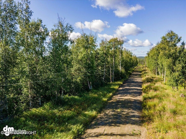 10429 S Lewis Loop, Wasilla, AK 99623