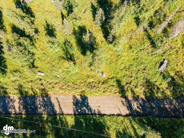 10429 S Lewis Loop, Wasilla, AK 99623