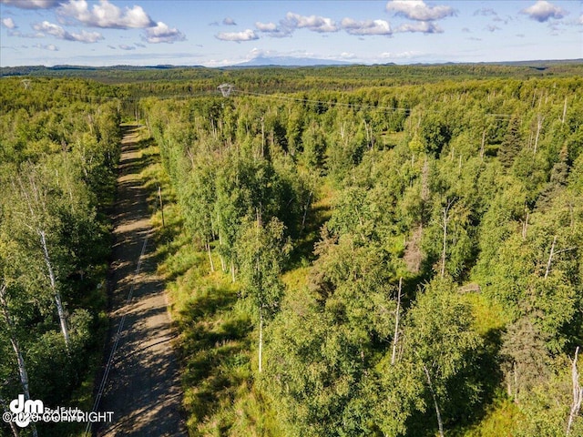 10429 S Lewis Loop, Wasilla, AK 99623