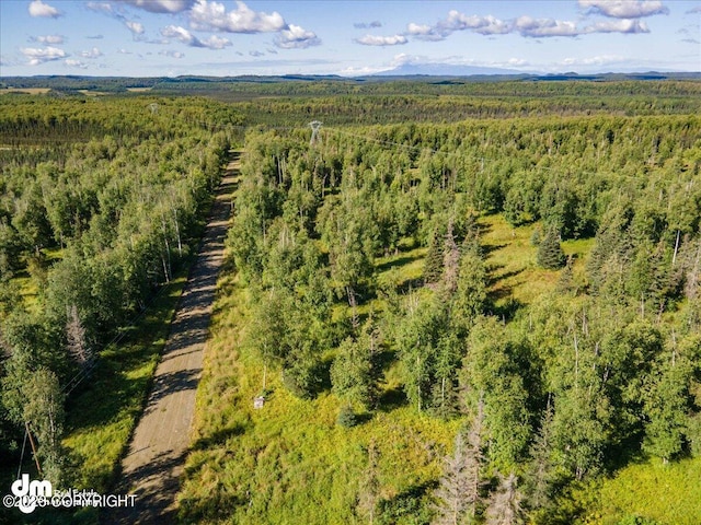 10429 S Lewis Loop, Wasilla, AK 99623