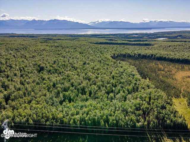 10429 S Lewis Loop, Wasilla, AK 99623