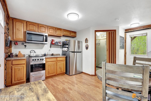 704 S Freeman Way, Big Lake, AK 99623 - kitchen featuring stainless steel appliances, light countertops, light wood finished floors, a sink, and a textured ceiling