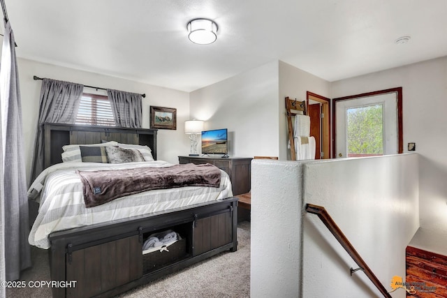 704 S Freeman Way, Big Lake, AK 99623 - view of carpeted bedroom