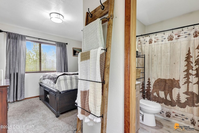 704 S Freeman Way, Big Lake, AK 99623 - full bath with toilet