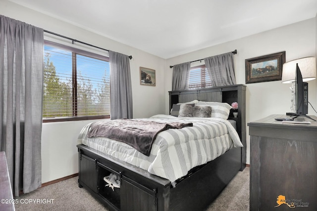 704 S Freeman Way, Big Lake, AK 99623 - bedroom featuring light carpet and baseboards