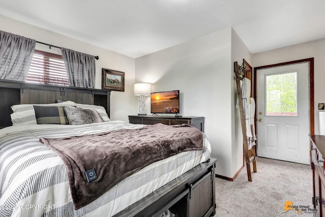 704 S Freeman Way, Big Lake, AK 99623 - bedroom with light colored carpet and baseboards