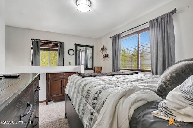 704 S Freeman Way, Big Lake, AK 99623 - bedroom featuring light carpet