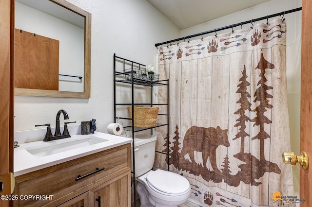 704 S Freeman Way, Big Lake, AK 99623 - bathroom featuring vanity, toilet, and a shower with curtain