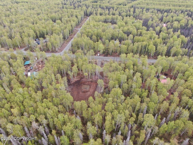 36534 S Long Branch St, Talkeetna, AK 99676