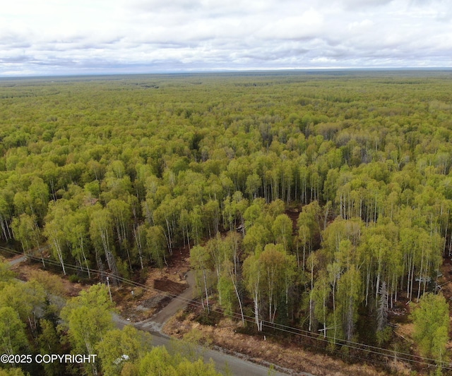 36534 S Long Branch St, Talkeetna, AK 99676